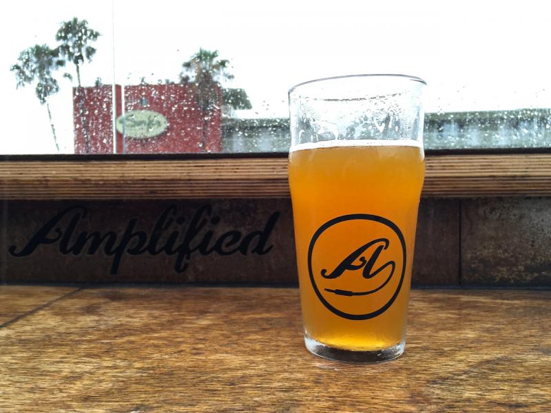 Electrocution IPA