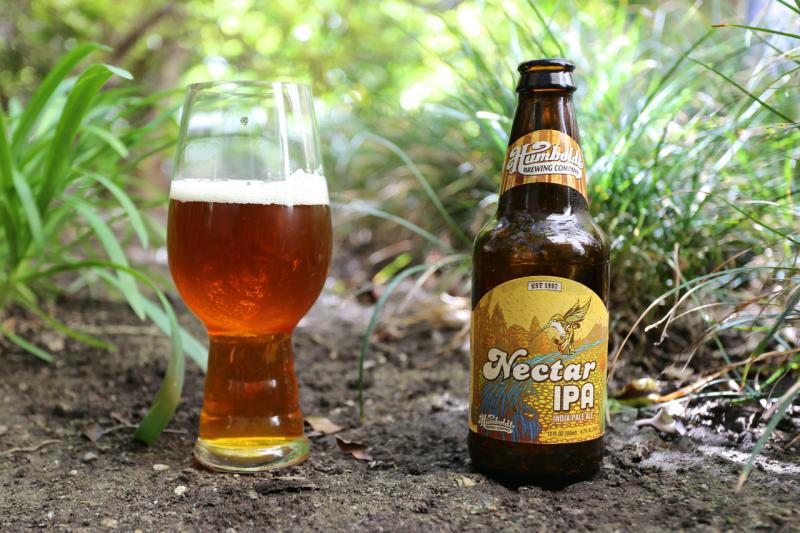 Nectar IPA