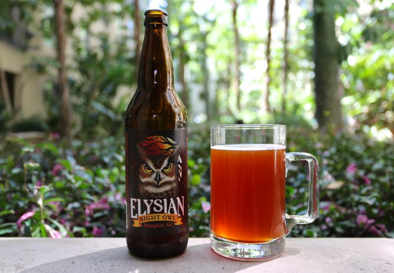 Elysian Night Owl