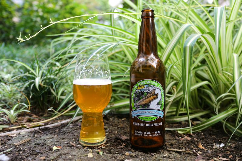 Umbrella Single-Hop IPA