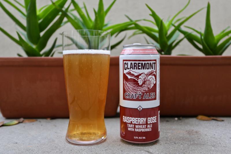 Raspberry Gose