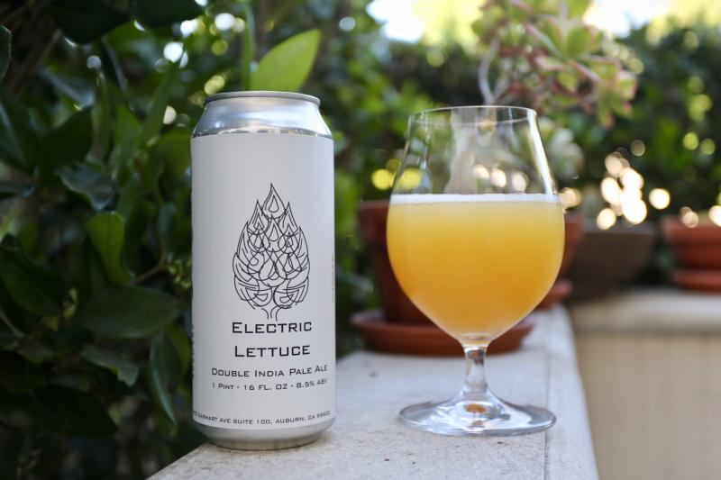 Electric Lettuce