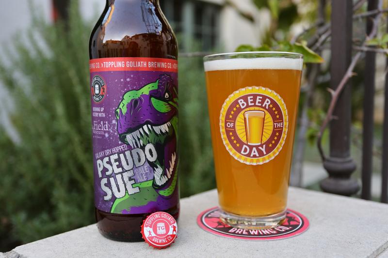 PseudoSue Galaxy Dry Hopped