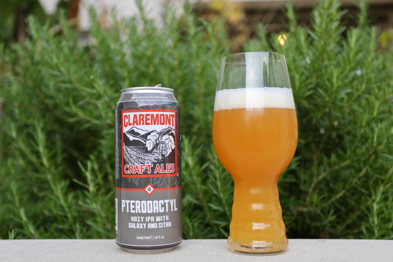 Pterodactyl