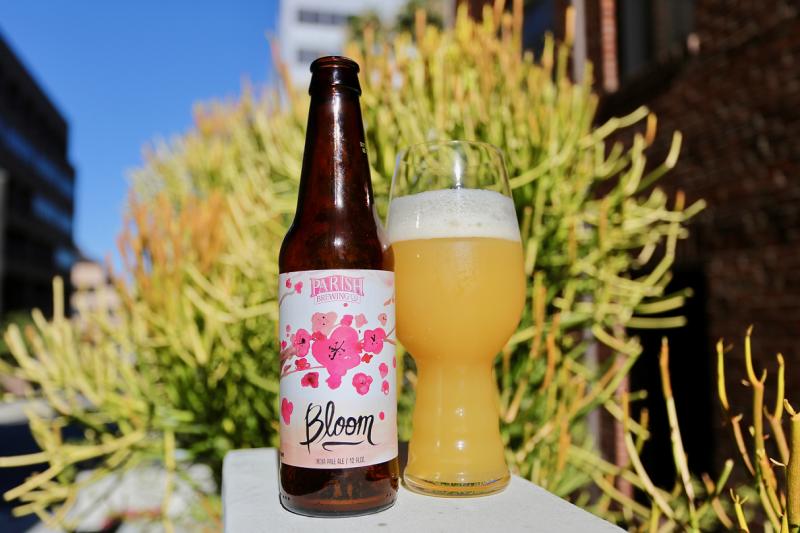 Bloom