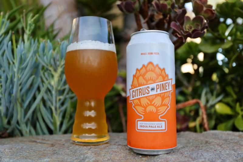 Citrus & Piney IPA