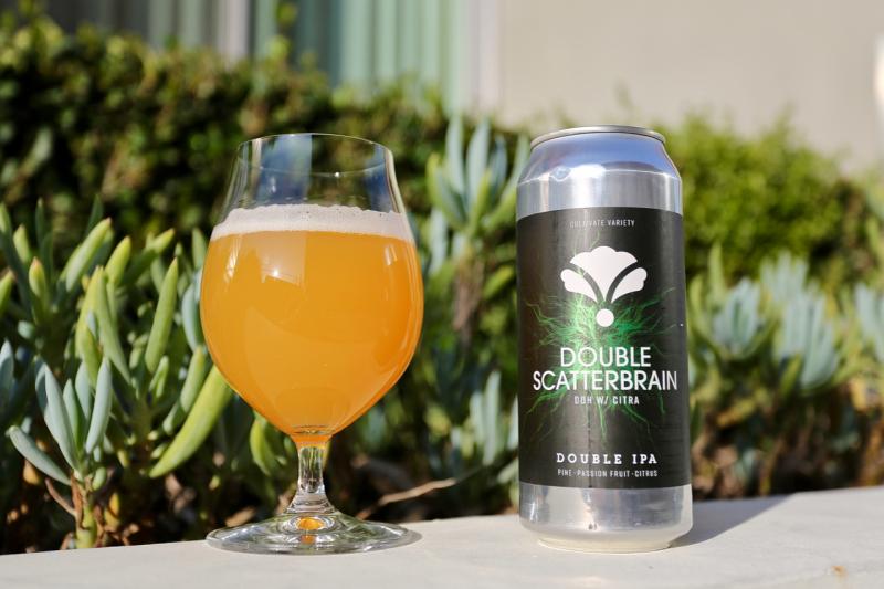 Double Scatterbrain DDH w/Citra